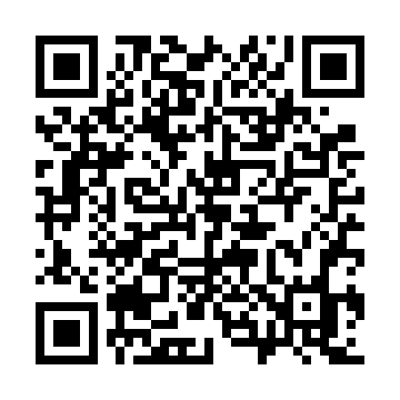 QR code for 384VFO