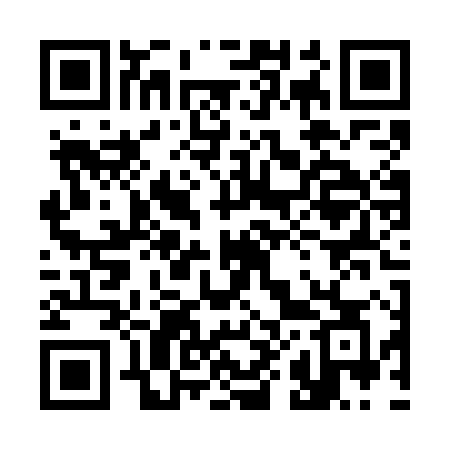 QR code for 384WHC