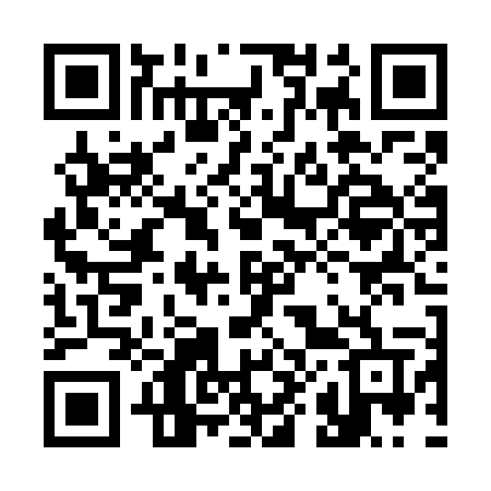 QR code for 384WMV