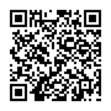 QR code for 384ZDP