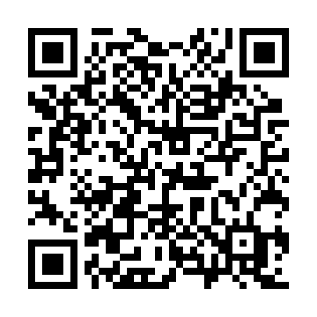QR code for 385BRD