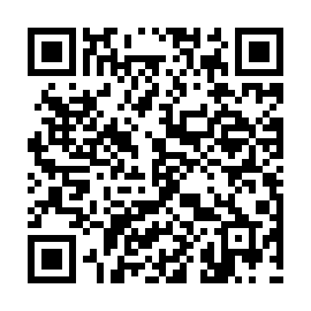 QR code for 385IAP