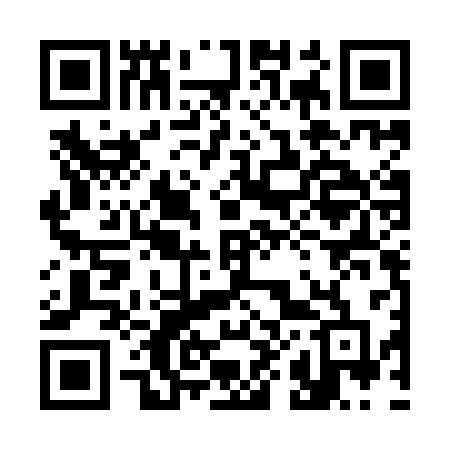 QR code for 385ICD