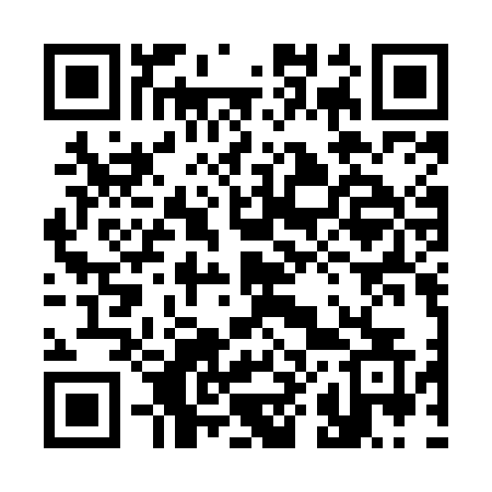 QR code for 385MNS
