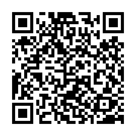 QR code for 386DSZ