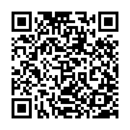 QR code for 386HLX