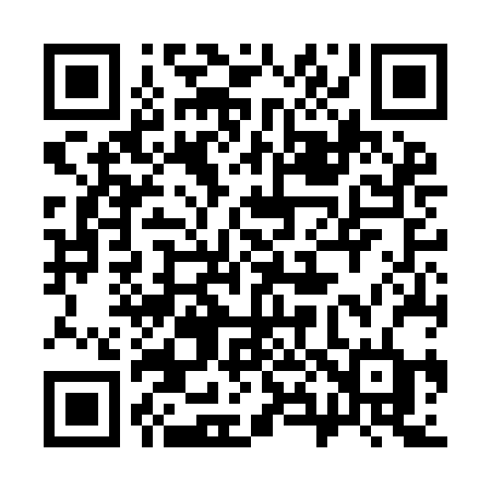 QR code for 386IBD