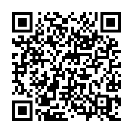 QR code for 386IIC