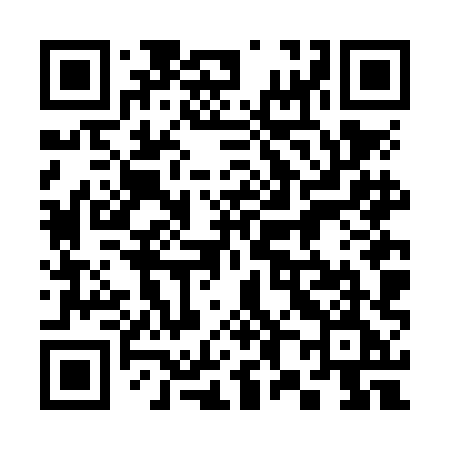 QR code for 386NHE