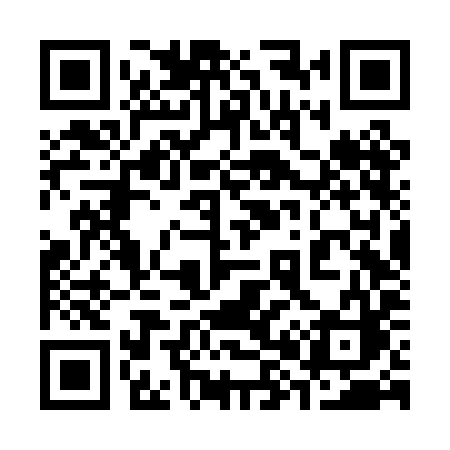 QR code for 386PIC