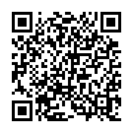 QR code for 386SIJ