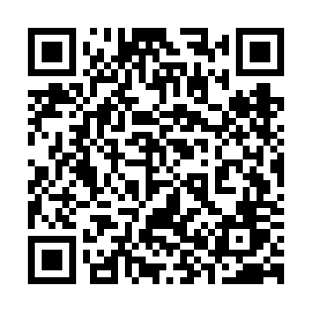 QR code for 387FOV
