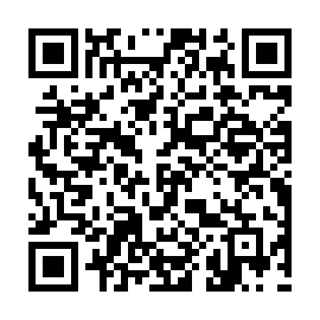 QR code for 387HIE