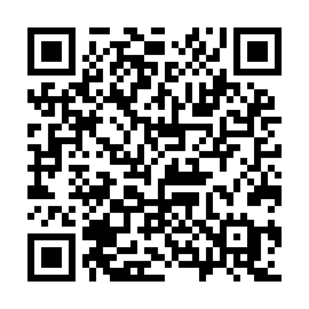 QR code for 387IFE