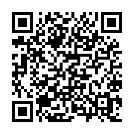 QR code for 387MIM