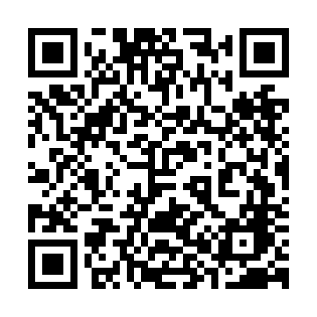 QR code for 387NNG