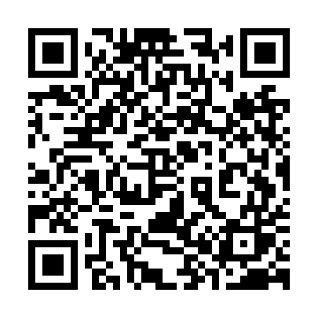 QR code for 387NUS