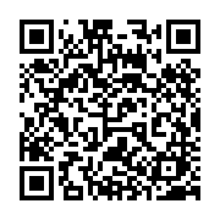QR code for 387PNM