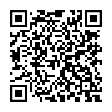 QR code for 389LAN