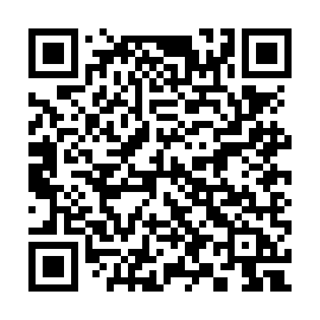 QR code for 390NMB