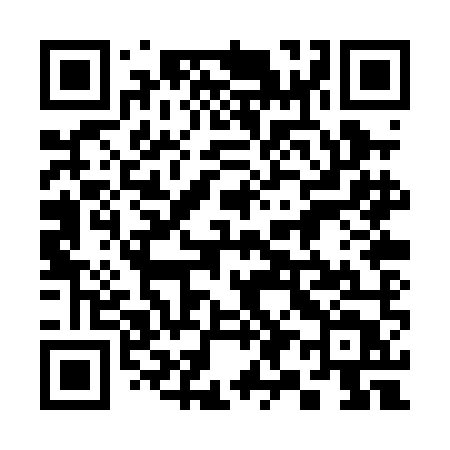 QR code for 390PMT