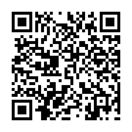 QR code for 391IPP