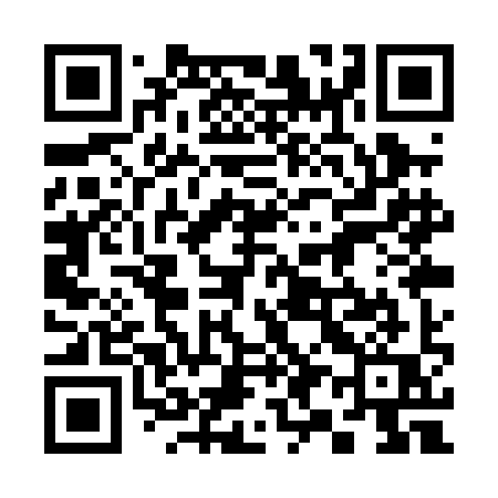 QR code for 391PIQ