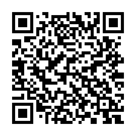 QR code for 392USC