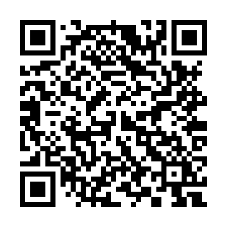 QR code for 392XZY