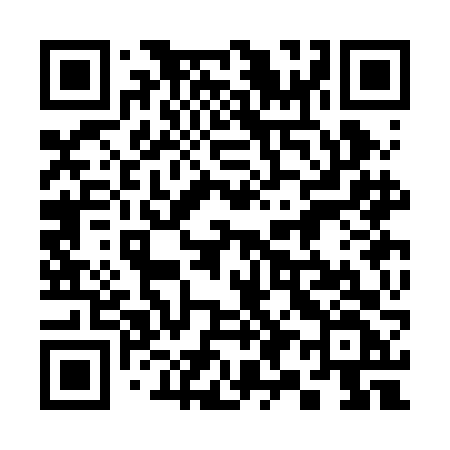 QR code for 393BFF