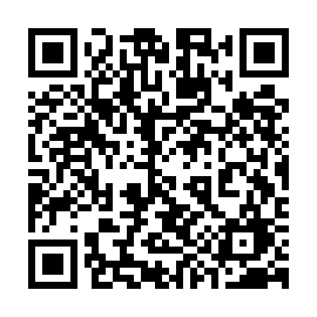 QR code for 393ECG