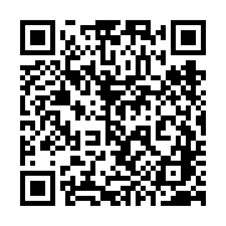 QR code for 393FDC