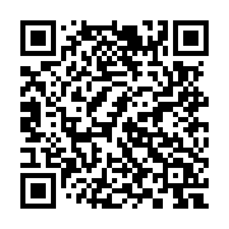 QR code for 393MTT