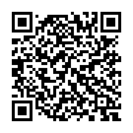 QR code for 393NDB