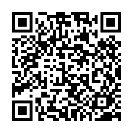 QR code for 393PAO