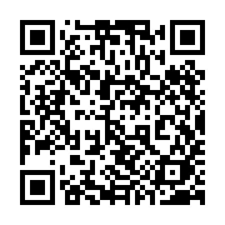 QR code for 393PIK