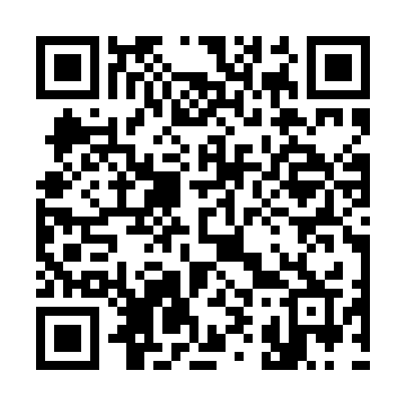 QR code for 393PKR