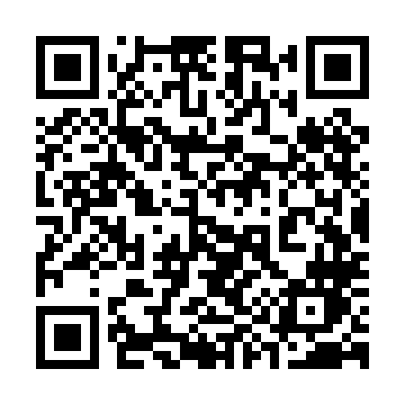 QR code for 393PLN