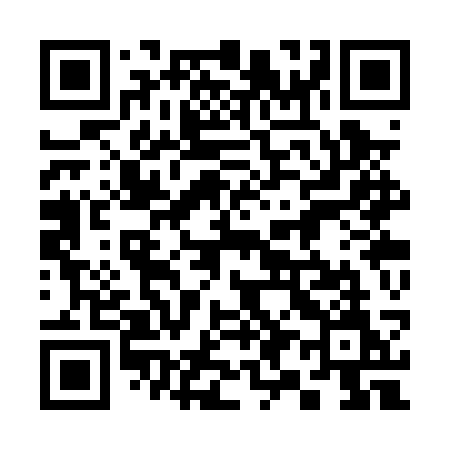 QR code for 393PSM