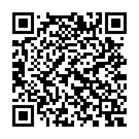 QR code for 393PUQ