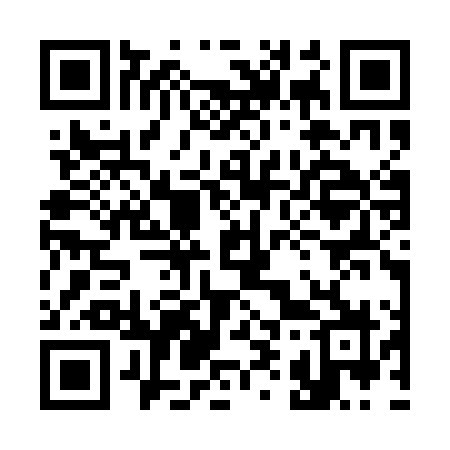 QR code for 393QLZ