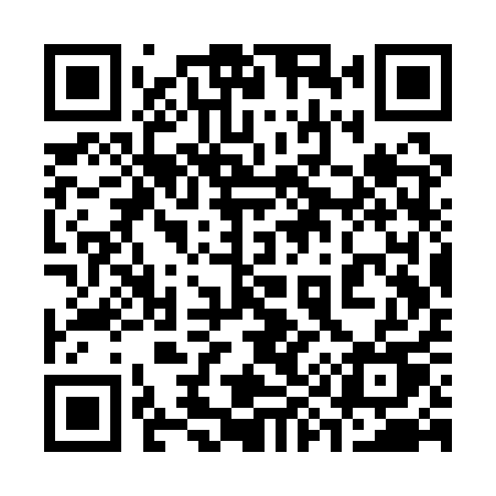 QR code for 393QQU