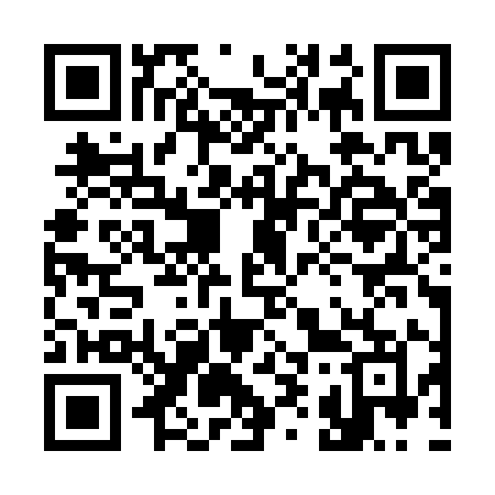 QR code for 393SYM