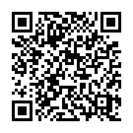 QR code for 393VFX