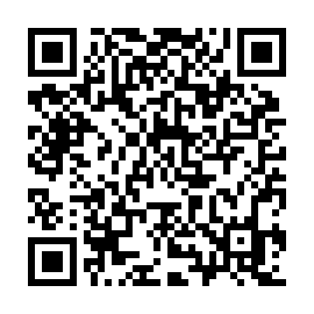 QR code for 393ZBO