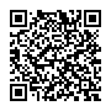 QR code for 393ZYH