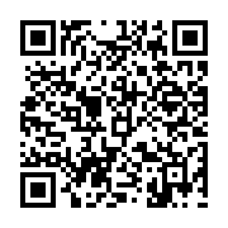 QR code for 394ASM