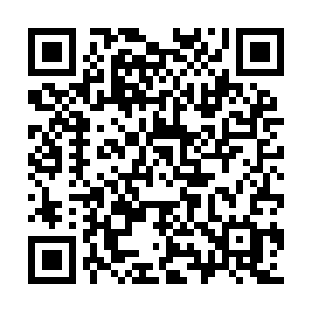 QR code for 394ICG