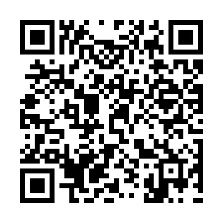 QR code for 394SXR