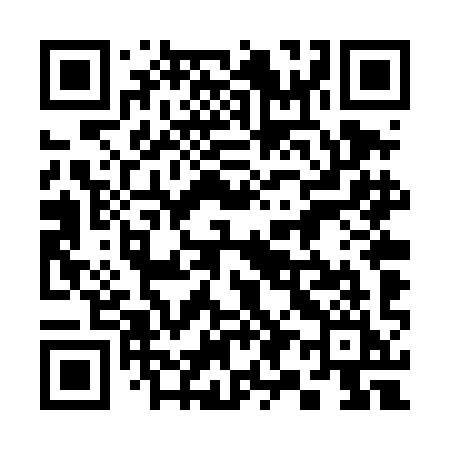QR code for 394TII